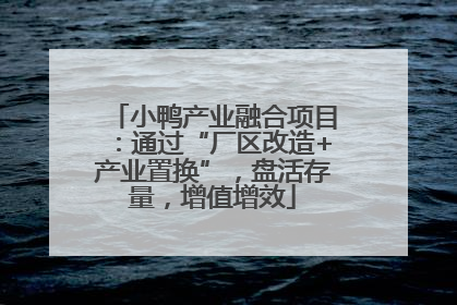 小鸭产业融合项目：通过“厂区改造+产业置换”，盘活存量，增值增效