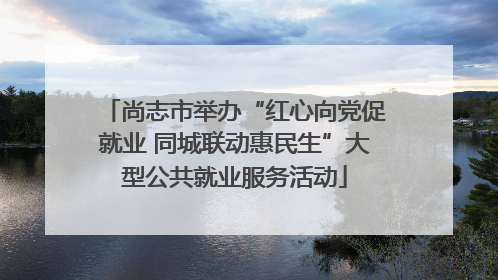 尚志市举办“红心向党促就业 同城联动惠民生”大型公共就业服务活动
