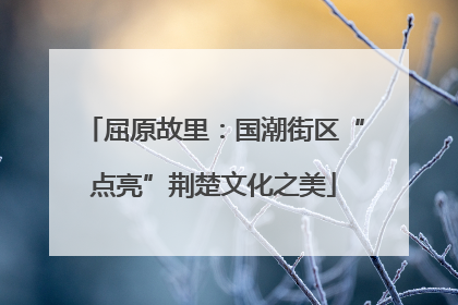 屈原故里：国潮街区“点亮”荆楚文化之美