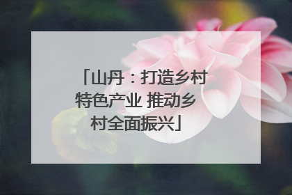 山丹：打造乡村特色产业 推动乡村全面振兴