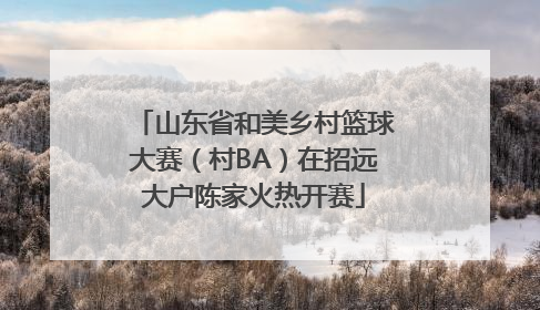山东省和美乡村篮球大赛（村BA）在招远大户陈家火热开赛