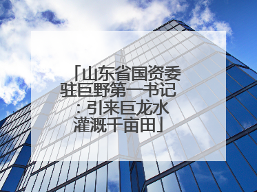 山东省国资委驻巨野第一书记：引来巨龙水 灌溉千亩田