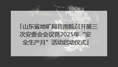 山东省地矿局鲁南院召开第三次安委会会议暨2025年“安全生产月”活动启动仪式