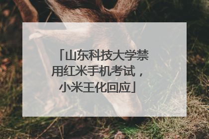山东科技大学禁用红米手机考试，小米王化回应