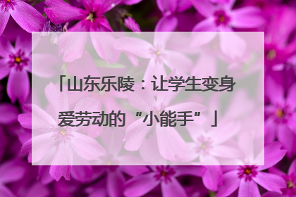 山东乐陵：让学生变身爱劳动的“小能手”