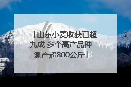 山东小麦收获已超九成 多个高产品种测产超800公斤