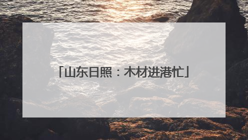山东日照：木材进港忙