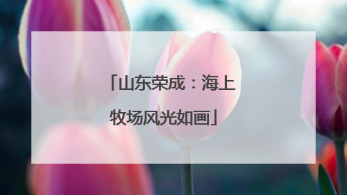 山东荣成：海上牧场风光如画