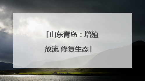 山东青岛：增殖放流 修复生态