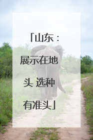 山东：展示在地头 选种有准头