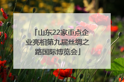 山东22家重点企业亮相第九届丝绸之路国际博览会