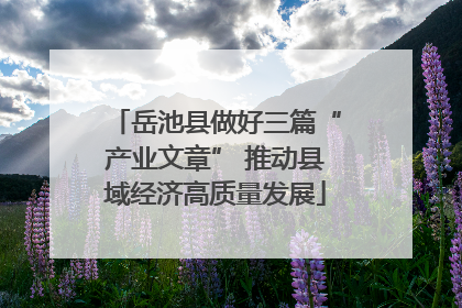 岳池县做好三篇“产业文章” 推动县域经济高质量发展
