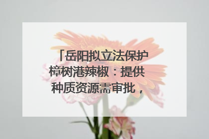 岳阳拟立法保护樟树港辣椒：提供种质资源需审批，违规最高罚5万