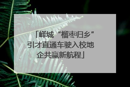 峄城“榴枣归乡”引才直通车驶入校地企共赢新航程