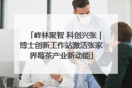 峰林聚智 科创兴张｜博士创新工作站激活张家界莓茶产业新动能