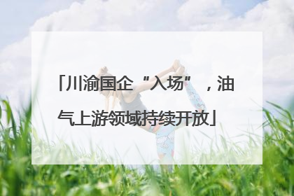 川渝国企“入场”，油气上游领域持续开放