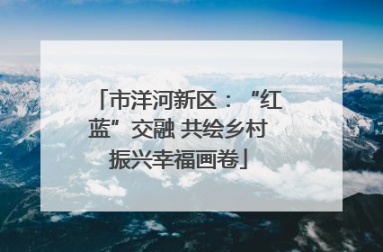 市洋河新区：“红蓝”交融 共绘乡村振兴幸福画卷