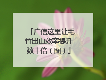 广信这里让毛竹出山效率提升数十倍（图）