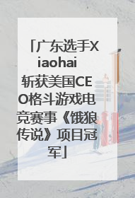 广东选手Xiaohai斩获美国CEO格斗游戏电竞赛事《饿狼传说》项目冠军