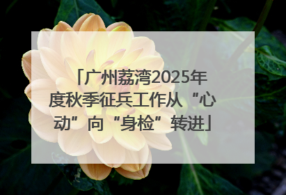 广州荔湾2025年度秋季征兵工作从“心动”向“身检”转进