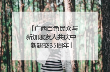 广西百色民众与新加坡友人共庆中新建交35周年