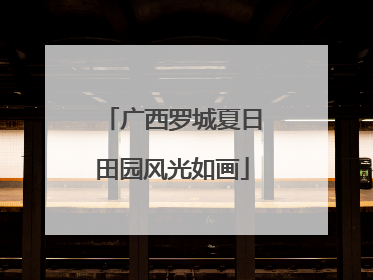 广西罗城夏日田园风光如画
