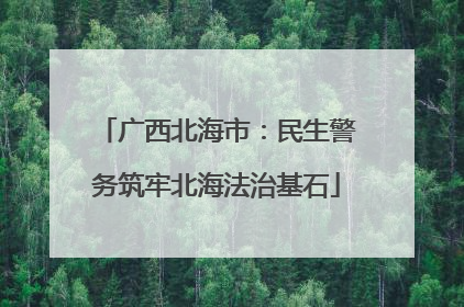 广西北海市：民生警务筑牢北海法治基石