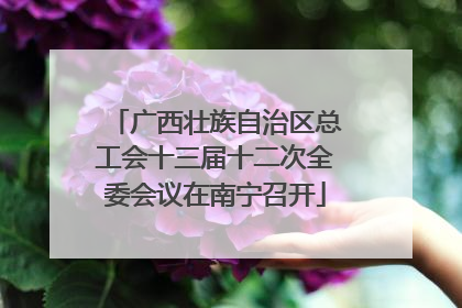 广西壮族自治区总工会十三届十二次全委会议在南宁召开