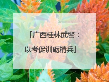 广西桂林武警：以考促训砺精兵
