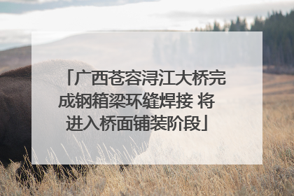 广西苍容浔江大桥完成钢箱梁环缝焊接 将进入桥面铺装阶段