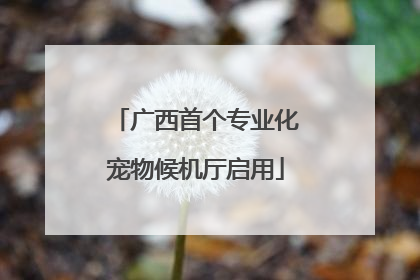 广西首个专业化宠物候机厅启用