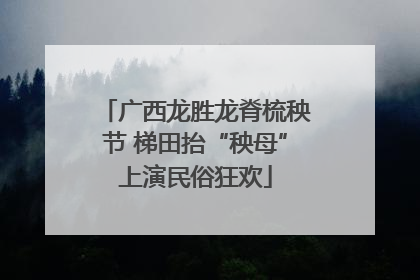 广西龙胜龙脊梳秧节 梯田抬“秧母”上演民俗狂欢