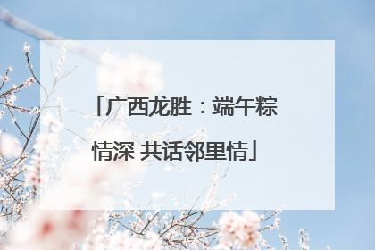 广西龙胜：端午粽情深 共话邻里情