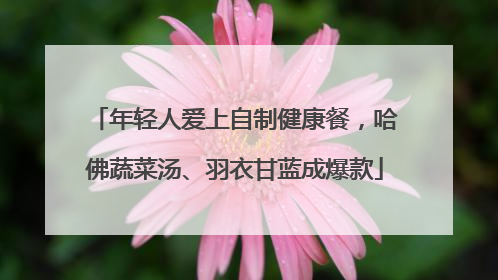 年轻人爱上自制健康餐，哈佛蔬菜汤、羽衣甘蓝成爆款