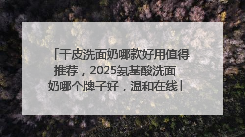 干皮洗面奶哪款好用值得推荐，2025氨基酸洗面奶哪个牌子好，温和在线