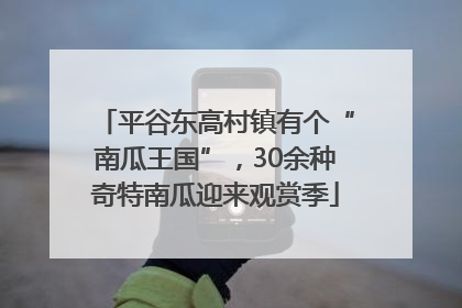 平谷东高村镇有个“南瓜王国”，30余种奇特南瓜迎来观赏季