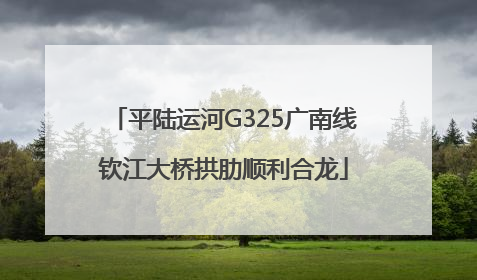 平陆运河G325广南线钦江大桥拱肋顺利合龙