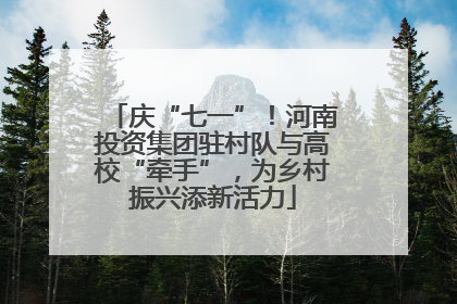 庆“七一”！河南投资集团驻村队与高校“牵手”，为乡村振兴添新活力