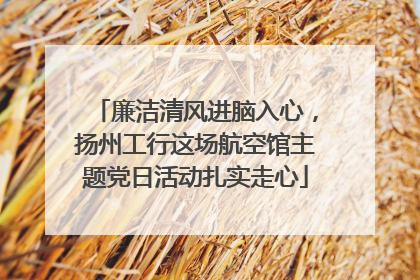 廉洁清风进脑入心，扬州工行这场航空馆主题党日活动扎实走心