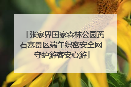 张家界国家森林公园黄石寨景区端午织密安全网 守护游客安心游