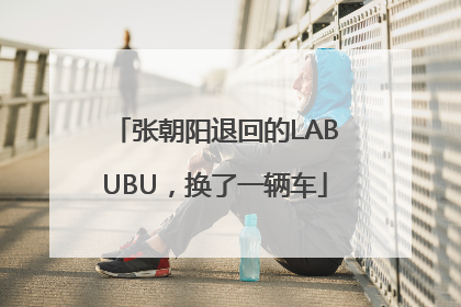 张朝阳退回的LABUBU，换了一辆车