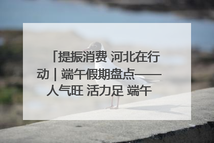 提振消费 河北在行动｜端午假期盘点——人气旺 活力足 端午经济“热浪”迭起