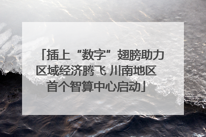 插上“数字”翅膀助力区域经济腾飞 川南地区首个智算中心启动