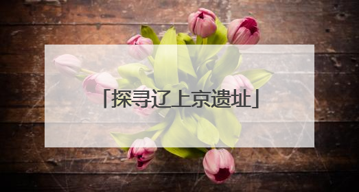 探寻辽上京遗址