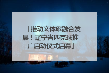 推动文体旅融合发展！辽宁省匹克球推广启动仪式启幕
