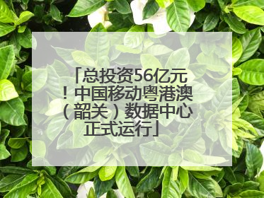 总投资56亿元！中国移动粤港澳（韶关）数据中心正式运行