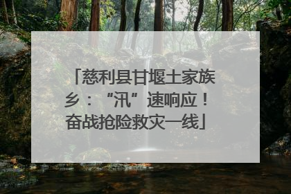 慈利县甘堰土家族乡：“汛”速响应！奋战抢险救灾一线