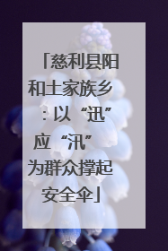 慈利县阳和土家族乡：以“迅”应“汛” 为群众撑起安全伞