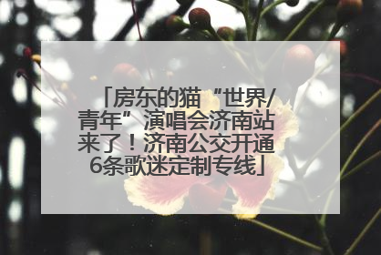 房东的猫“世界/青年”演唱会济南站来了！济南公交开通6条歌迷定制专线