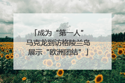 成为“第一人” 马克龙到访格陵兰岛展示“欧洲团结”